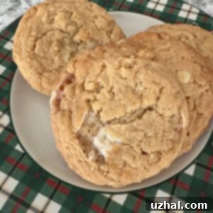 Costco inspired recipe for Marshmallow Treat Rice Krispies Cookies