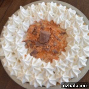 Brown Butter Ritz Crust Butterfinger Pie Deconstructed Butterfinger Pie with Brown Butter Ritz Crumble 7 Brown Butter Ritz Cracker Butterfinger Pie recipe