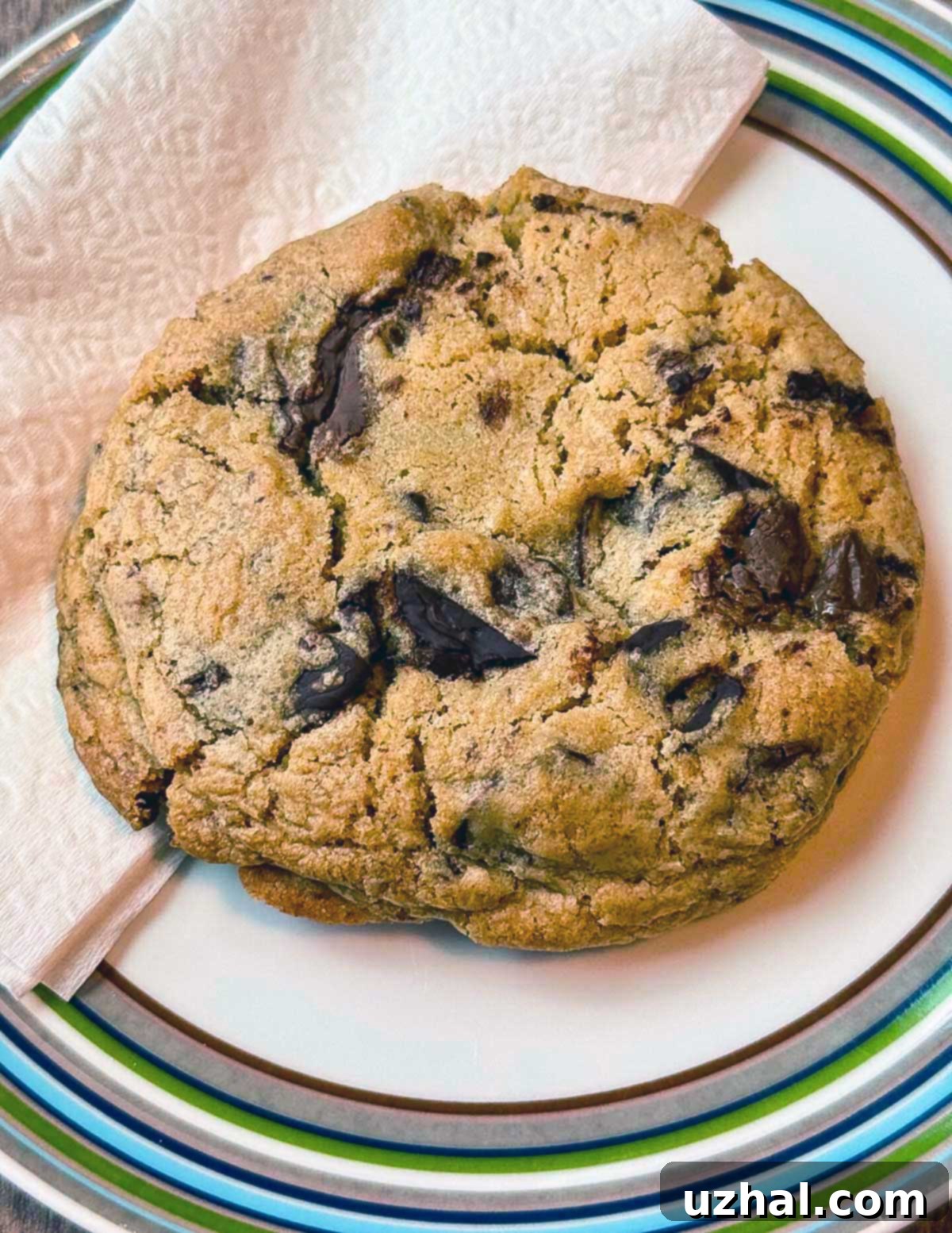Giant bakery style chocolate chip air fryer cookies