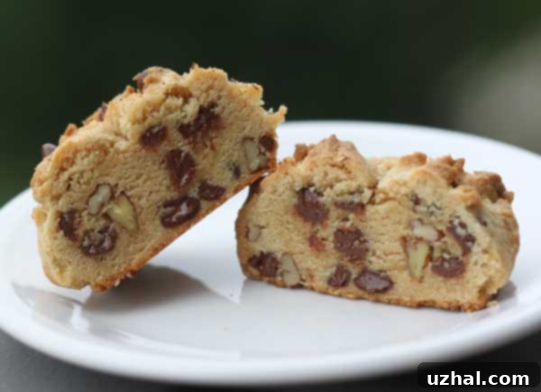 Roasted Flour Chocolate Chip Cookie Experiment