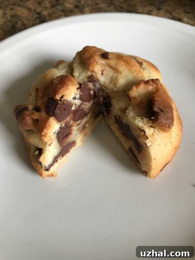 Perfect Roasted Flour Chocolate Chip Cookie