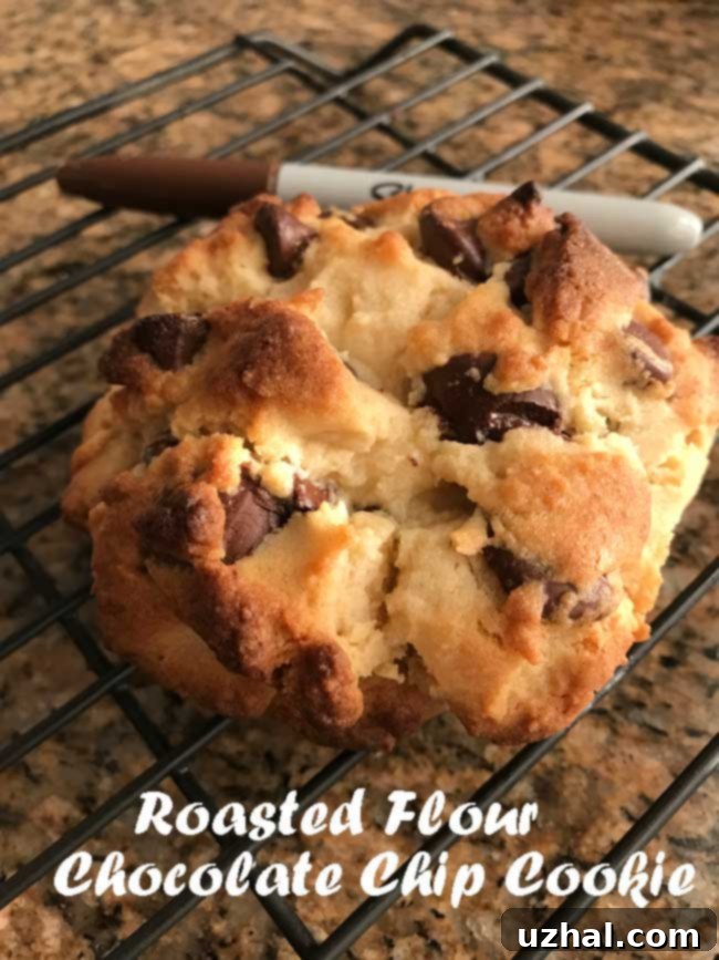 Delicious Roasted Flour Chocolate Chip Cookie