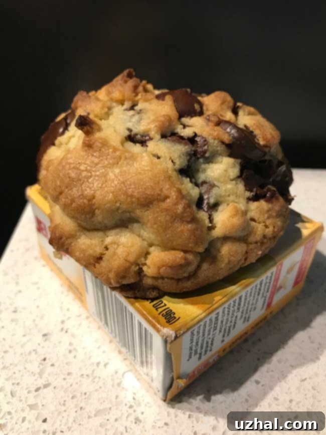 Close-up of Roasted Flour Chocolate Chip Cookie