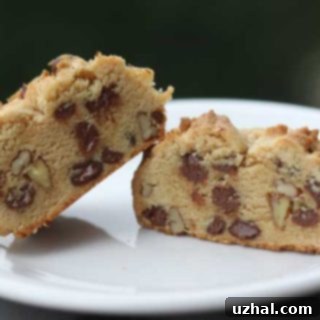 Roasted Flour Chocolate Chip Cookies