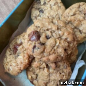 Oatmeal Cookie Mix in a jar, baked into cookies