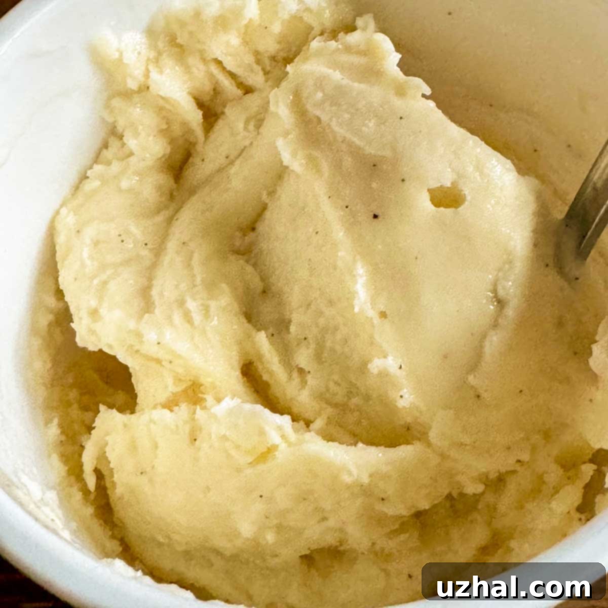 Allulose-Sweetened Vanilla Ice Cream 2 Homemade Vanilla Ice Cream made with Allulose Powder