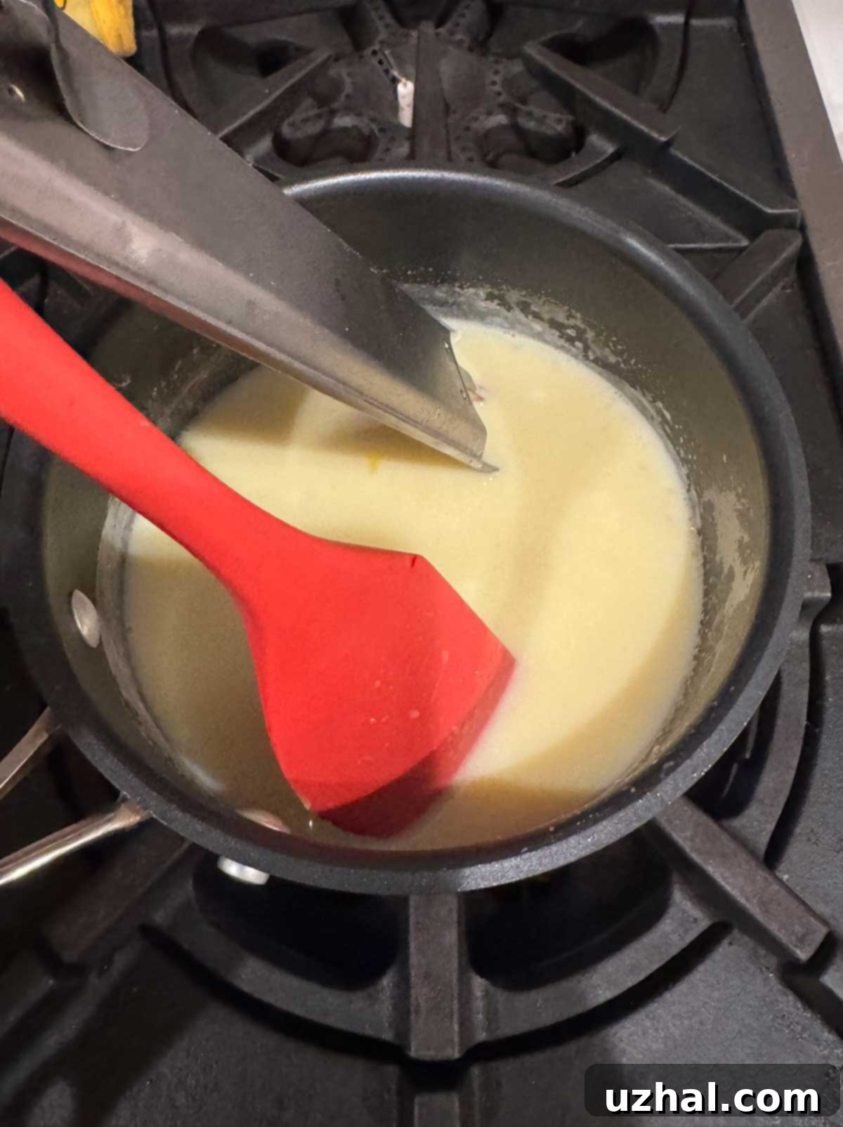 Allulose-Sweetened Vanilla Ice Cream 5 Making Custard with Milk, Allulose, Xanthan Gum, Salt, and Eggs