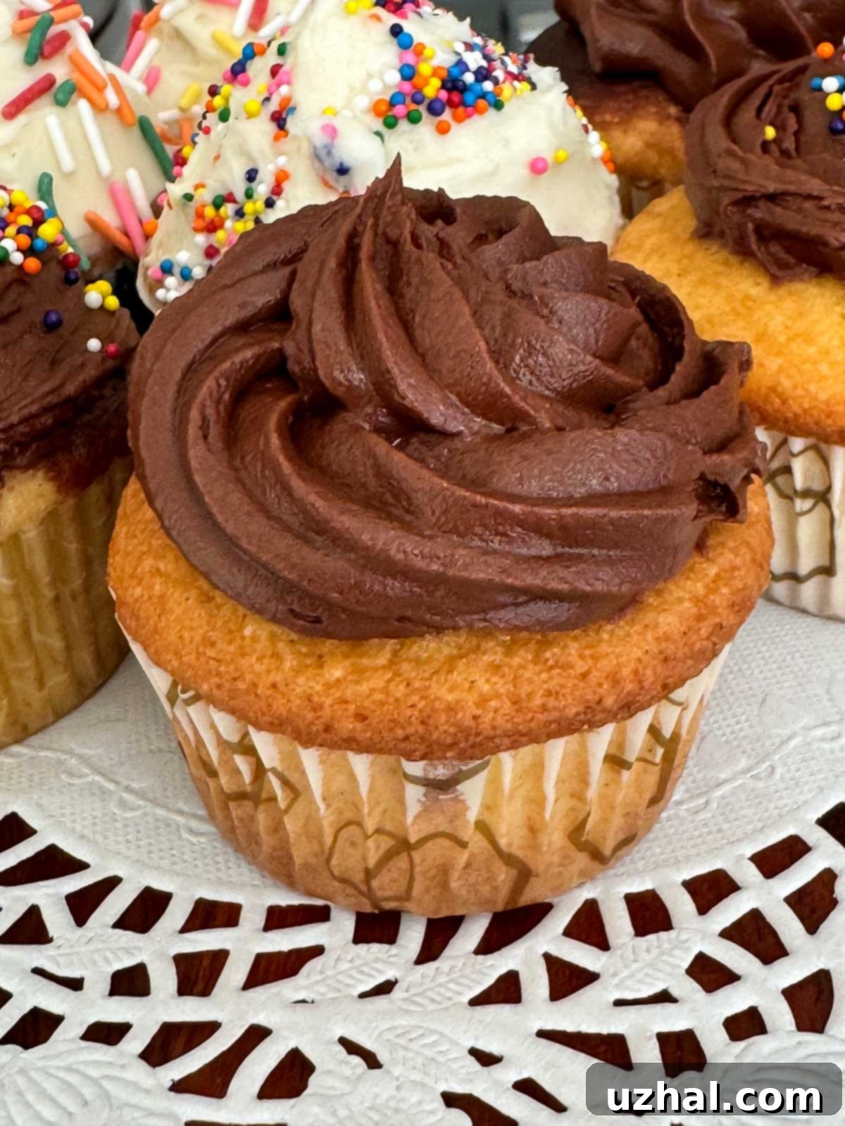 Vanilla Cupcake with easy Chocolate Frosting - simple, delicious dessert