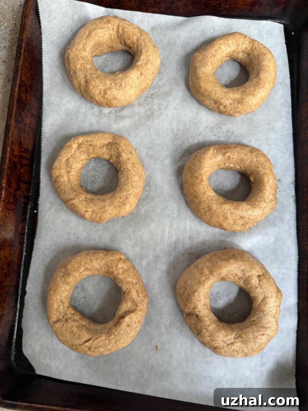 Shaped, unbaked bagels on a parchment lined baking sheet.