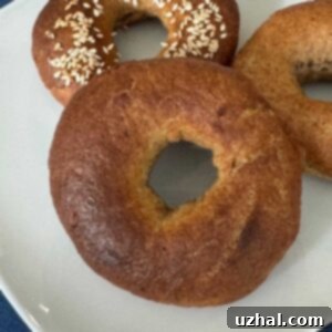 Bran Bagel made with All Bran cereal on a plate.