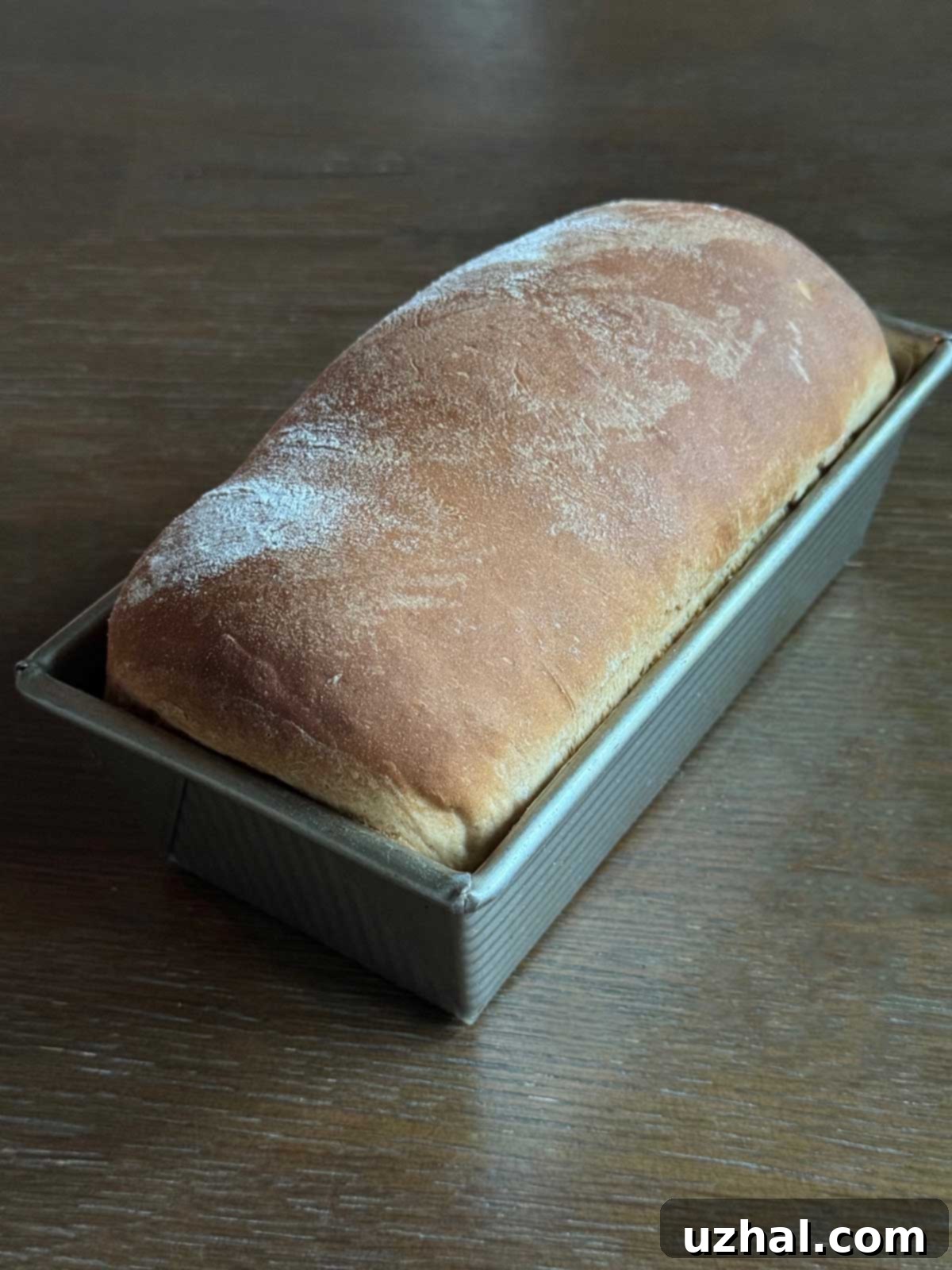 Sourdough Cheese Swirl Loaf 2 A golden-brown loaf of Sourdough Cheese Swirl Bread cooling in a loaf pan.