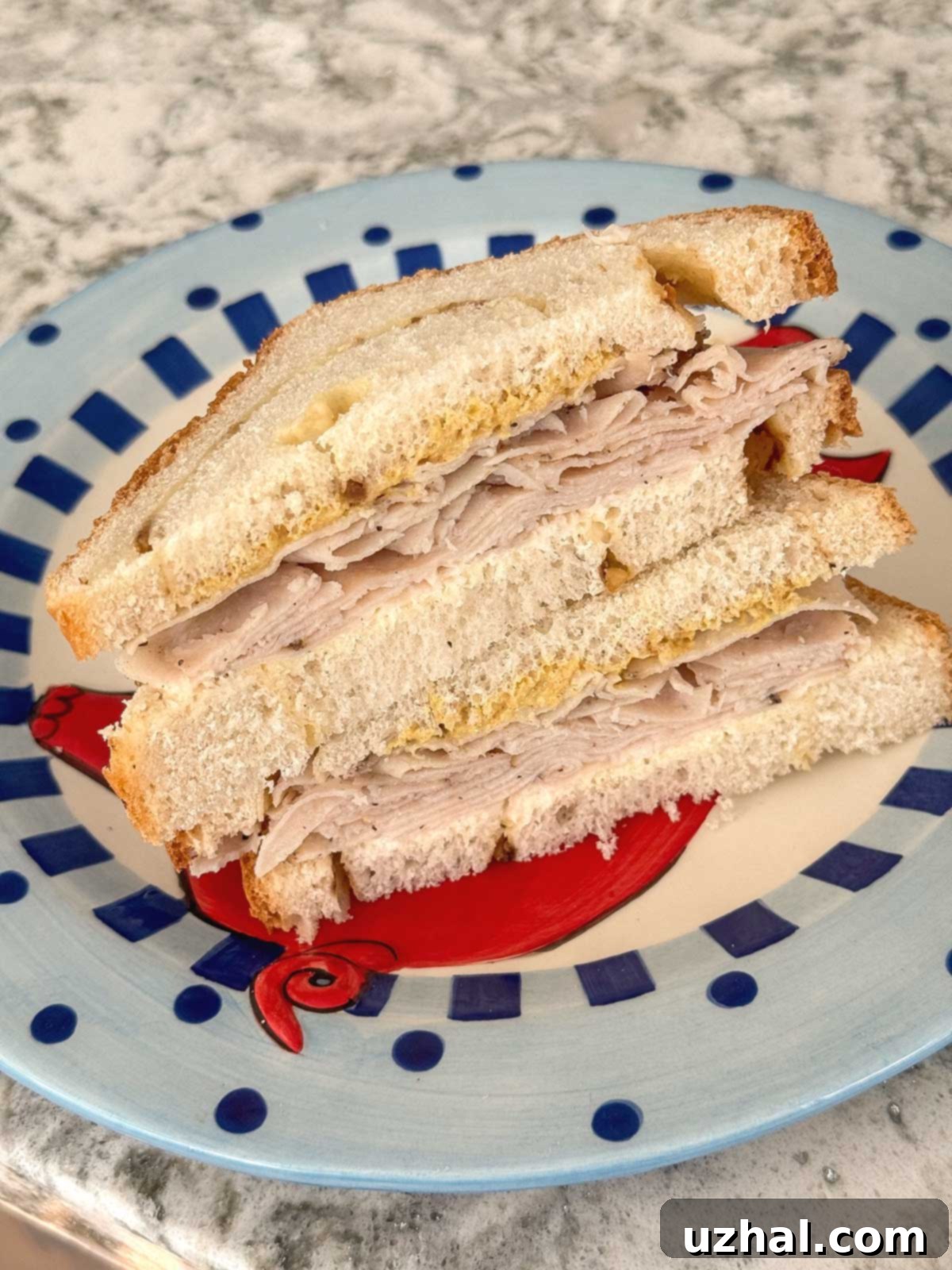 Sourdough Cheese Swirl Loaf 3 A delicious Sourdough Cheese Swirl Bread with onion soup mix used to make a mouthwatering turkey sandwich.