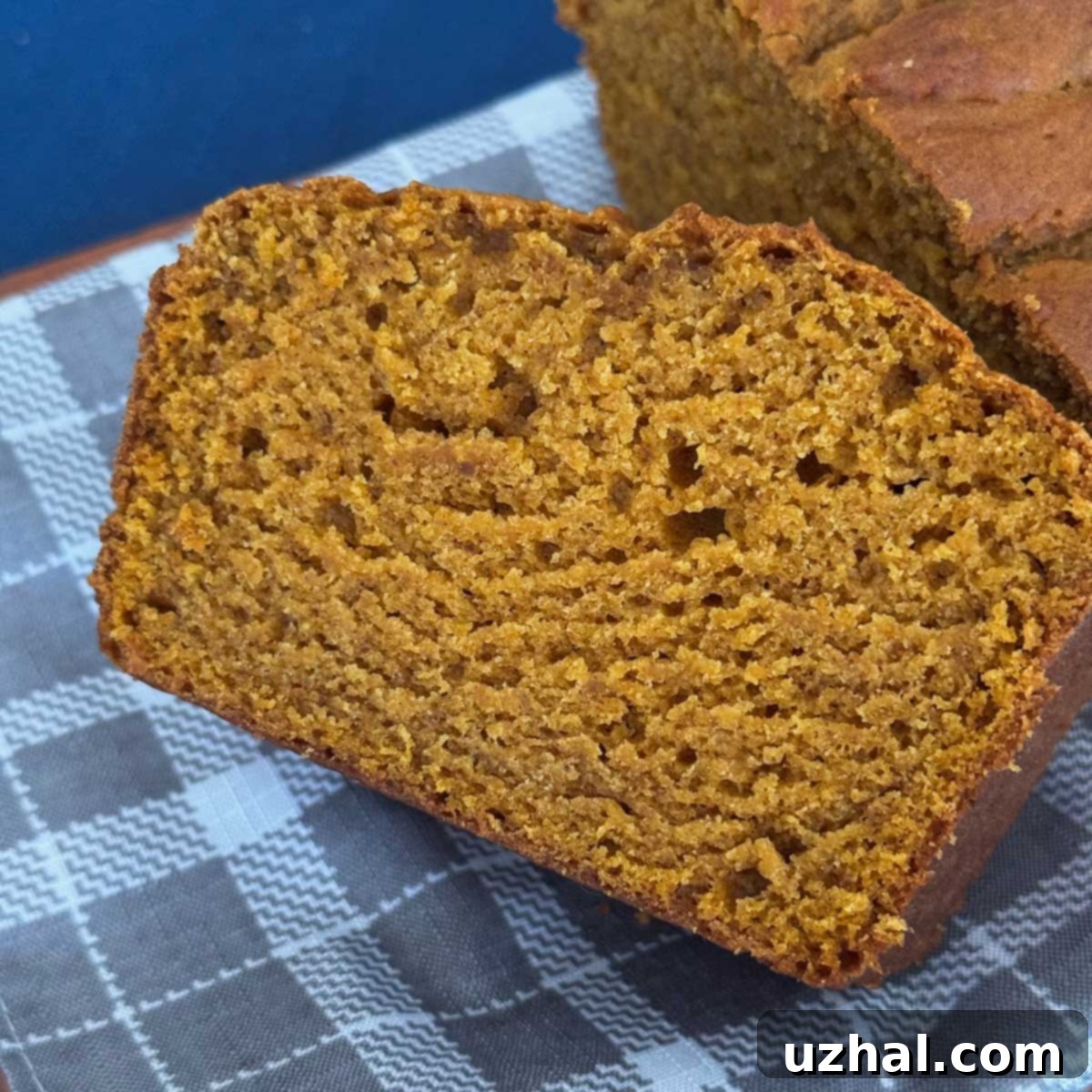 Effortless Autumn Pumpkin Loaf 4 A slice of basic vegan pumpkin bread to go with a recipe.